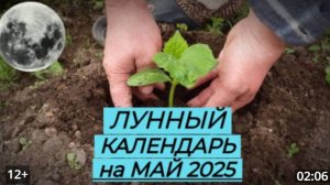 Лунный Посевной Календарь Садовода и Огородника на ИЮЛЬ 2025_ БЛАГОПРИЯТНЫЕ ДНИ ДЛЯ ПОСАДКИ