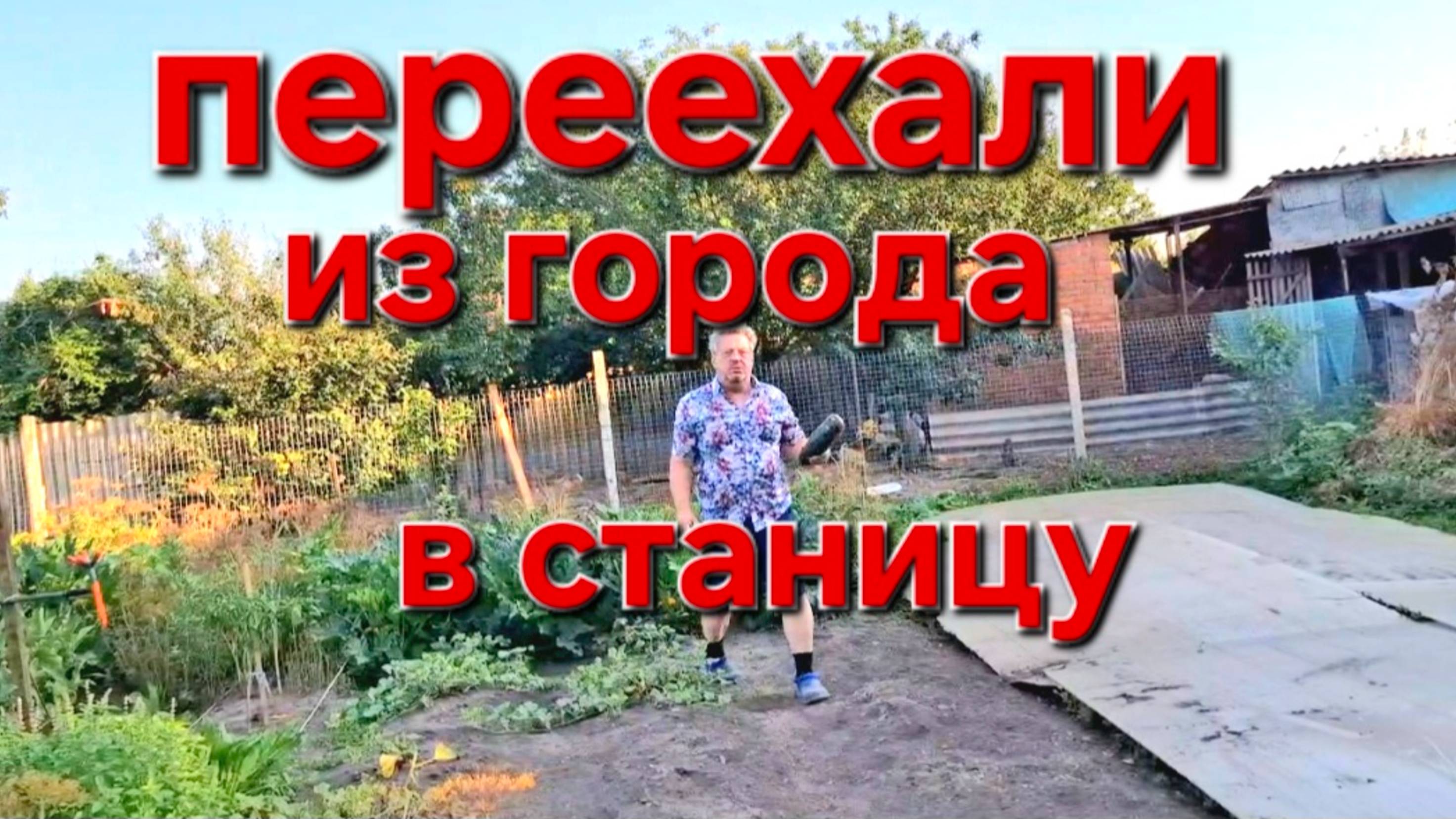 595 Переехали жить из города в станицу на Кубани. С утра на ногах.Что с помидорами случилось.