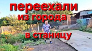 595 Переехали жить из города в станицу на Кубани. С утра на ногах.Что с помидорами случилось.