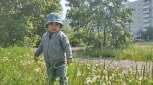 Дневная прогулка во дворе, 13 июня 2025