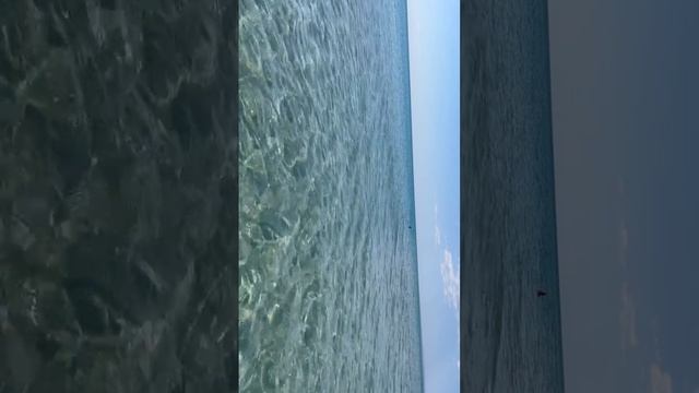 красота