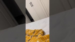 Странные кошаньки