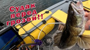 Я ДАЖЕ НЕ УСПЕВАЛ ДОТЯНУТЬСЯ ДО КАМЕРЫ!!! ОТЛИЧНАЯ РЫБАЛКА ПЕРЕД ГРОЗОЙ!