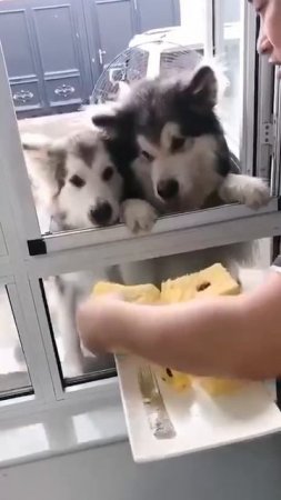 Каждому по десерту 🧁😍