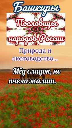 Пословицы