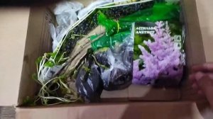 Обалденная солянка  Закупка продуктов Распаковка посылочки