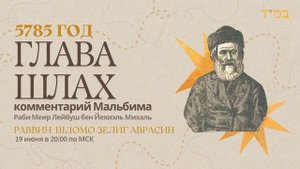 Тора с комментариями Мальбима | Глава Шлах | раввин Шломо Зелиг Аврасин