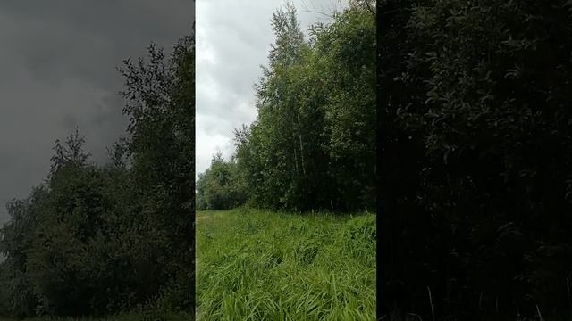 Брожу у пляжа