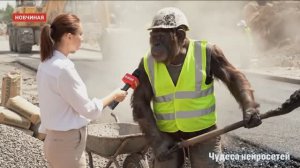 Новости от нейросети