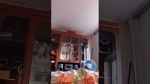утренний секс 18 +