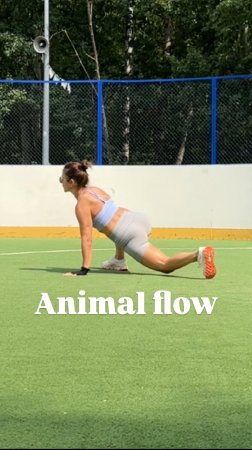 Этим видео хочу напомнить о живых практиках Animal Flow на свежем воздухе.