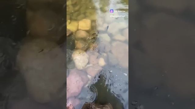 ЗАЧЕМ ОН ЭТО СДЕЛАЛ???