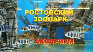 РОСТОВСКИЙ ЗООПАРК. Аквариум. Много красивых рыбок