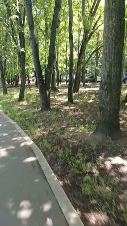 В сквере.