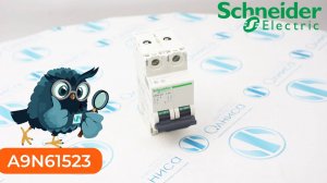 A9N61523 Выключатель автоматический Schneider Electric - Олниса