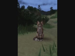Делаю 3 породы кошек во WCUE :3