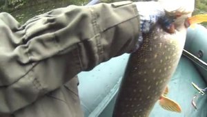 Моя рыбалка на спиннинг