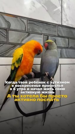 А ваши дети с #аутизм хорошо спят? #рас #дети #мелешколя #abaтерапия #особыедети #родители