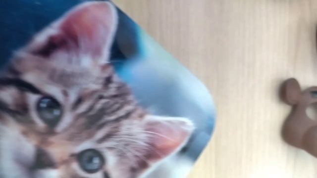 2 season today, soon