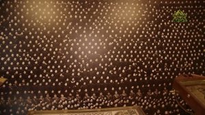 Хранители памяти. Музей императора Николая II. Часть 7