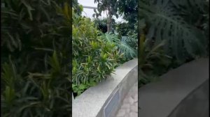 Ботанический сад в Астане