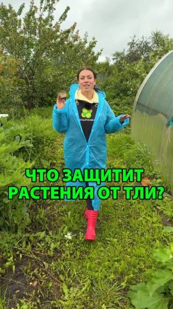 Что защитит растения от тли