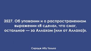 3527. Об уповании и о распространенном выражении "Я сделал, что смог, остальное — за Аллахом"