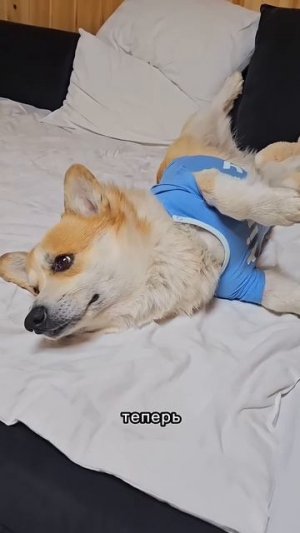 @mix_shorts_