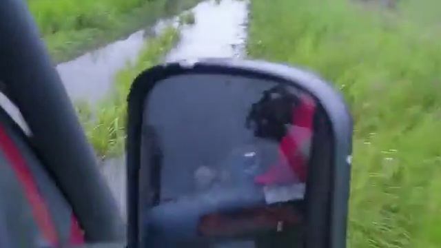 День Молодежи, дорога за земляникой смотреть онлайн