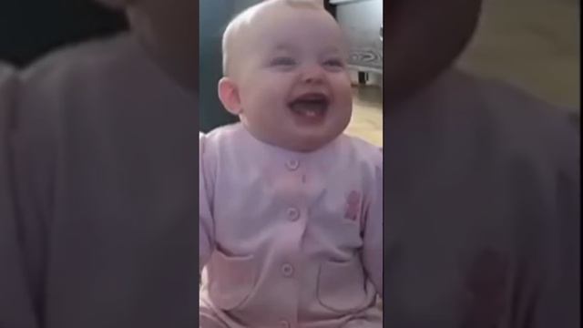 Приколы с животными и не только