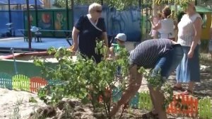 "МИМОХОДОМ", 8 июля 2014 год. Автор проекта О. Дзиов