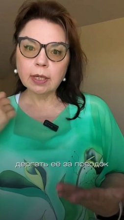 Почему ваши команды не работают? Это виновата не собака-это виноваты вы.