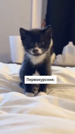 На самом деле, это не так страшно