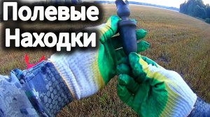 Тайны тумана: Древние полевые находки