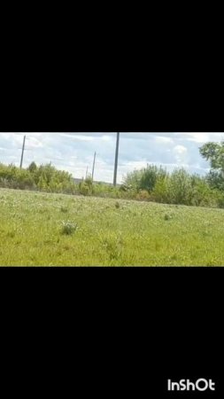 Животные.Сборник моментов из жизни братьев меньших.Фильм1.Серия5.Часть1.mp4