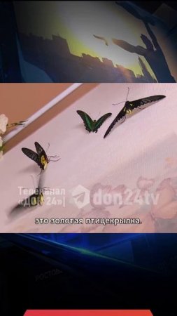 Бизнес, который не отрывает от семьи