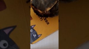 линька чурупахи