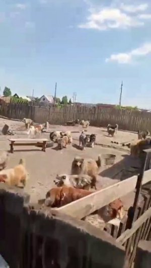 video_2025-07-08_21-03-50