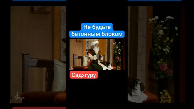 Не будьте бетонным блоком.mp4