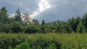 у нас Ёжик бегает по даче и Фыркает