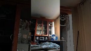 домашний секс 18 +