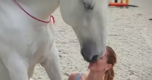 ... Животные которые могут лечить Людей....