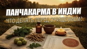 Дневник панчакармы | Подготовка к очищению: правила начала панчакармы