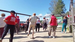 Чарльстон на пикнике 5.07.2025