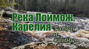 Река Лоймож. Май 2025