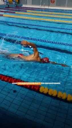Правда ли, что плавание помогает от боли в спине? Проверьте на практике в школе плавания SwimRocket!