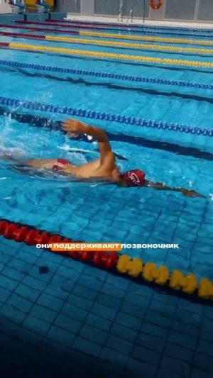 Правда ли, что плавание помогает от боли в спине? Проверьте на практике в школе плавания SwimRocket!