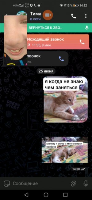 Как мы гуляем 2 часть