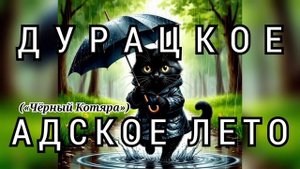 Дурацкое адское лето («Чёрный Котяра»)