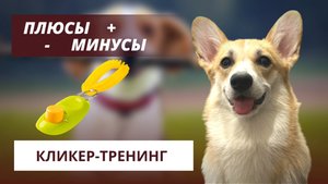 Плюсы и минусы кликер-тренинга